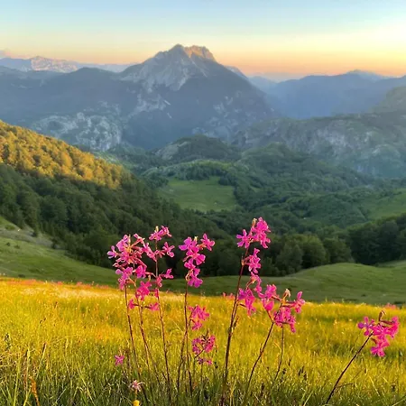 Bujtina Pepushaj *